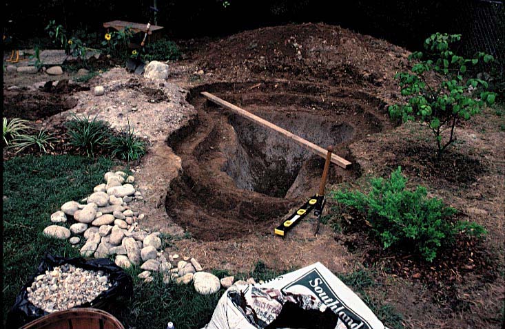 Our pond hole.