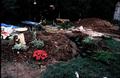 w-Landscaping